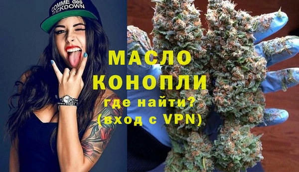 амф Пионерский