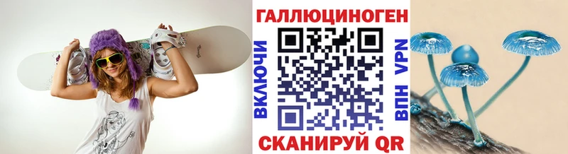 Псилоцибиновые грибы GOLDEN TEACHER  где купить наркоту  Чердынь 